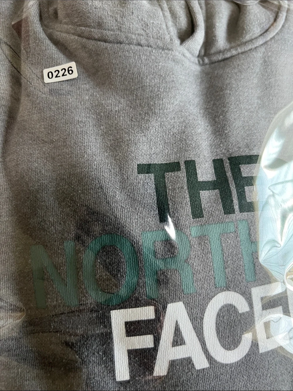 The North Face Gray Hoodie with Teal Logo